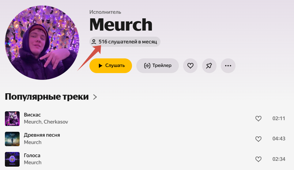 Как "колбасит" Яндекс-музыку, когда принципиально никогда ее не накручивал